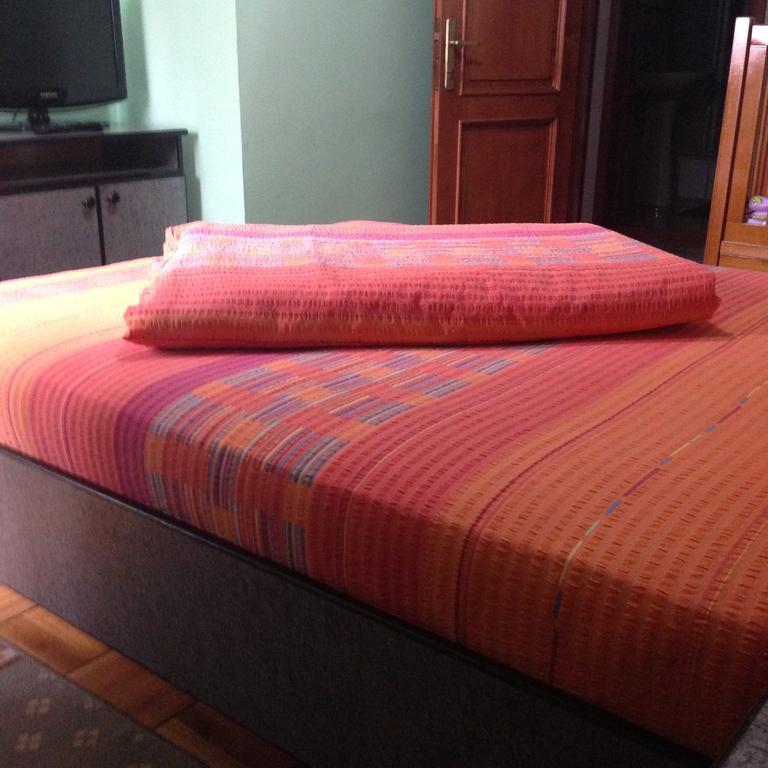 Motel Buti Sighetu Marmaţiei 객실 사진